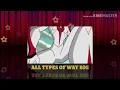 ALL TYPES OF WAYBIG