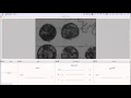 image viewer workflow