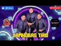 Download Lagu LAMHOBAS TRIO - HOLONG SITUTU ( COVER ) - LIVE TAPIAN NAULI CAFE
