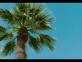 BALLISTIK BOYZ - 'Too Good To End' Official Music Video Teaser 1
