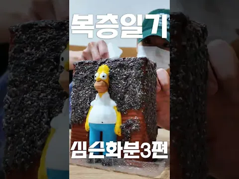 복층일기 - 심슨화분 3편