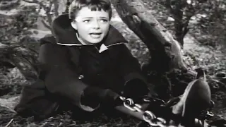 lassie trapped lassie english full episodes kids movies videos for kids
