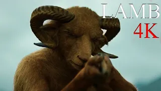 عائلة غريبة تربي طفلة نصفها خروف ونصفها إنسان وتحصل المفاجأة ملخص فيلم Lamb 