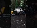 Download Lagu Kita terpaksa berhenti dulu karena ada suara penghuni hutan, entah itu hantu atau jin penunggu⁉️