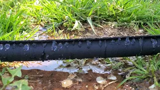 soaker hose Lowes