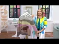 Coldwater Creek Lone Stallion Pullover Sweater on QVC
