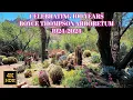 Celebrating 100 Years - Boyce Thompson Arboretum