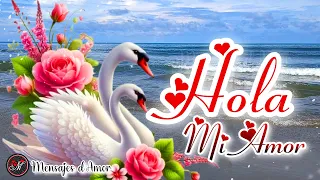 HOLA MI AMOR ❤️ Estas Palabras Son Para Ti TE ELIJO HOY Y SIEMPRE Mensajes de Amor
