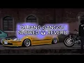 Download Lagu DJ JANG GANGGU KANE (Slowed + Reverb) 🎧🤙🏼