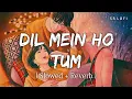 Download Lagu Dil Mein Ho Tum (Slowed + Reverb) | Armaan Malik | Why Cheat India | SR Lofi