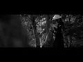 Ghost Of Tsushima OST - The Way Of The Ghost - EPIC AMBIENT Instrumental Erhu Cover
