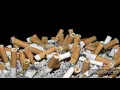 Download Lagu Princess Chelsea - The Cigarette Duet - Slowed \u0026 8D