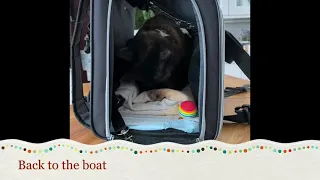 Cat-tain Litza is going back to the boat