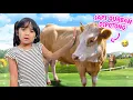 Lagu SAMANTHA BELI KAMBING DAN SAPI QURBAN IDUL ADHA SEDIH NANGIS KARENA DIPOTONG !!