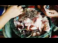Download Lagu IWAK PANGGANG MBAH MAN DOROPAYUNG JUWANA ( NYOSIS....Nyoting Sak Isone Channel)