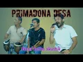 Download Lagu PRIMADONA DESA.Cipt.H.Rhoma Irama COver By Forsa Kotim