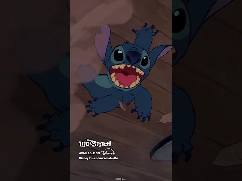Hide and Seek with Stitch! 🫣
