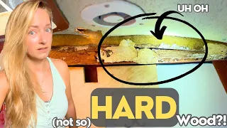 ⛵️ROTTEN sailboat MAST BEAM – now what? | Hallberg Rassy 352 | Sailing Joco