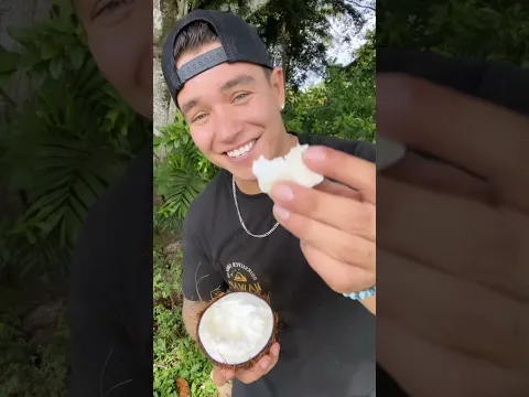 Where to Find Sprouted Coconuts in Hawaii 🥥🌱