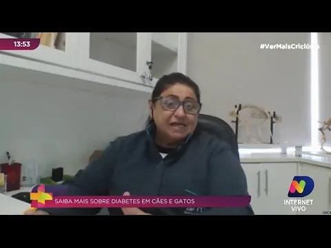 Saiba mais sobre diabetes em cães e gatos