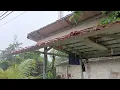 Download Lagu Berjalan di Tengah Hujan Lebat dan Petir di Desa | Suara Hujan ASMR untuk Tidur