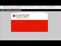 OverTheWire Natas Level 21 - PHP Session Hijacking 4