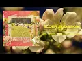 Download Lagu RahZhi Phi - Elder Blossom