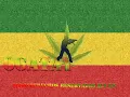 Gondwana verde amarillo y rojo musica