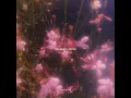 Download Lagu Lana Del Rey - Say Yes To Heaven | If you dance I'll dance | Aesthetic #song #lyrics #youtube shorts