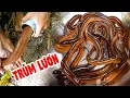 Download Lagu Đặt Trúm Lươn Rừng U Minh , nấu Bún Mắm đặc sản Cà Mau