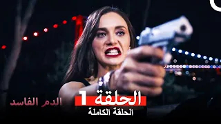 دماء فاسدة الحلقة 1 Arabic Dubbed 