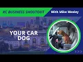 KCBS Your Car Dog