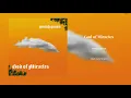 God of Miracles - Josiah Queen