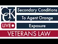 Secondary Conditions to Agent Orange Exposure