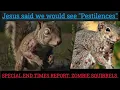 Download Lagu SPECIAL END TIMES REPORT: THE INVASION OF ZOMBIES SQUIRREL'S AND RABBITS IS A SIGN OF THE END TIMES.