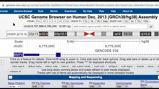 UCSC Genome Browser Tutorial