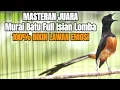 Lagu MASTERAN 2024 UNTUK BURUNG LOMBA FULL TEMBAKAN KASAR