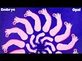 Download Lagu Embryo - Opal 1970 Krautrock, Jazz-Rock, Fusion  Full Album