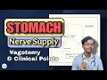Master Stomach Anatomy Nerve Supply Vagotomy High Yield Anatomy Surgery for MBBS Students