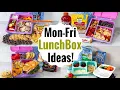5 EASY Everyday Lunch Ideas That Aren t Boring Simple Packed Lunches