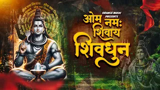 Om Namah Shivay Har Har bhole Namah Shivay | ॐ नमः शिवाय हर हर भोले नमः शिवाय ॐ | Shiv Dhun