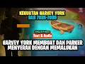 Download Lagu Harvey York Membuat Dan Parker Menyerah Dengan Memalukan | Crazy Remi Bb 7085-7089