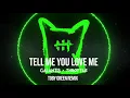 Galantis & Throttle - Tell Me You Love Me (Toby Green Remix)