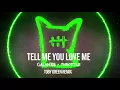 Lagu Galantis \u0026 Throttle - Tell Me You Love Me (Toby Green Remix)