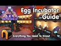 ARK Egg Incubator Guide And How To Use It