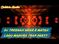 Download Lagu DJ TRESNAH NENG E MATAH LAGU MADURA TRAP PARTY BASS JEDUG NROTOK - Caktris Audio