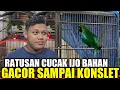 Download Lagu REJEKI PAGI INI ! CUCAK IJO GACOR KONSLET DIJUAL HARGA BAHAN DIKIOS SENDY PASAR BURUNG PRAMUKA
