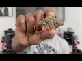Tropical Truffles