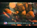 TvOne Djarum Black Cappuccino 21 52