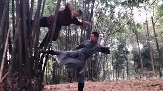 A Real Chinese Kung Fu Master Fight Incredible Mantis Style Vs Tiger Style 
